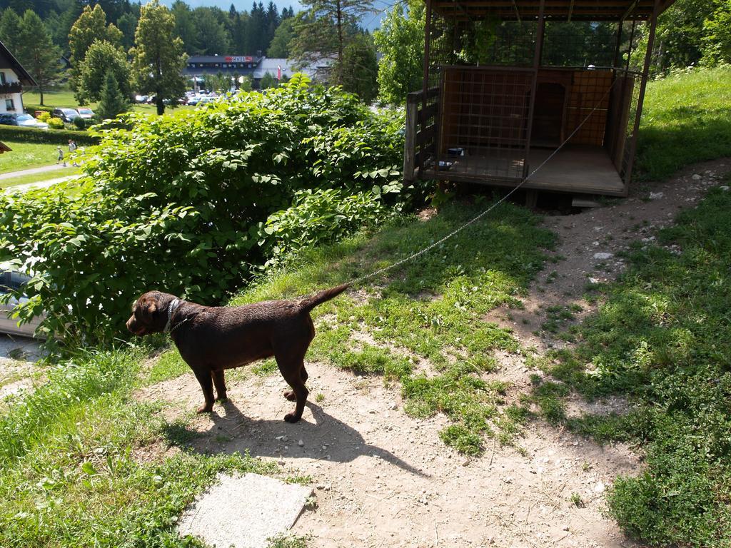 Penzion Rozic Bohinj Exterior photo