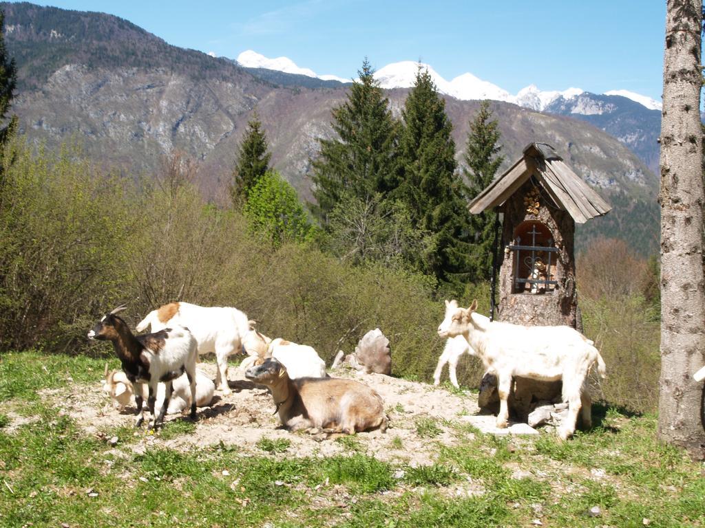 Penzion Rozic Bohinj Exterior photo